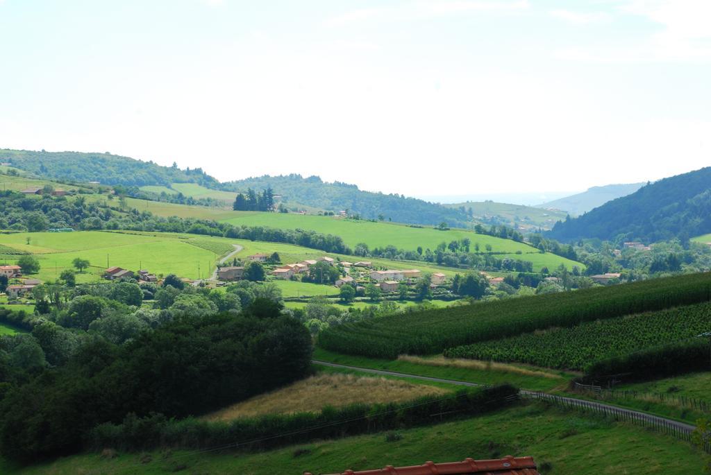 Отель La Ferme Berger Les Ardillats Номер фото