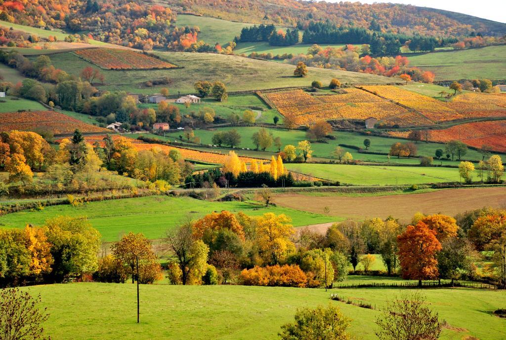 Отель La Ferme Berger Les Ardillats Экстерьер фото