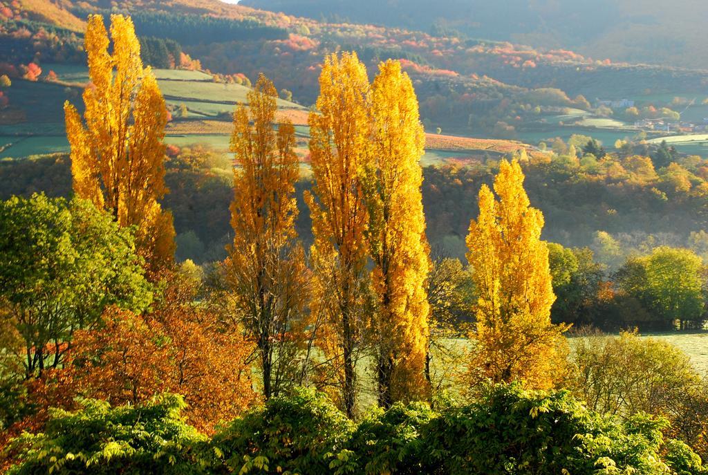 Отель La Ferme Berger Les Ardillats Экстерьер фото