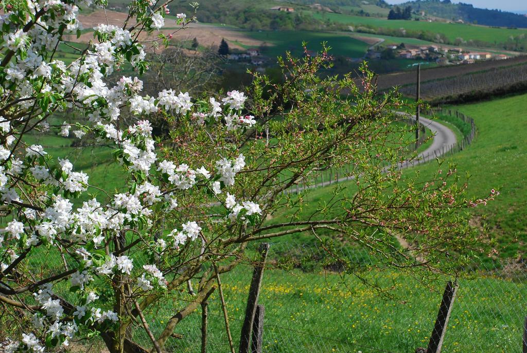 Отель La Ferme Berger Les Ardillats Экстерьер фото