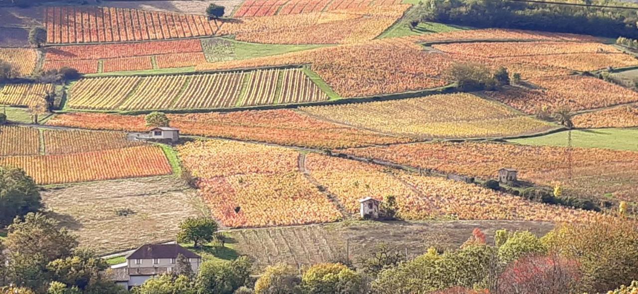 Отель La Ferme Berger Les Ardillats Экстерьер фото